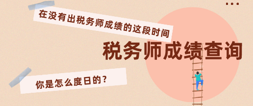 2019年税务师成绩查询