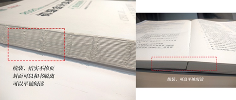 选择初级“梦想成真”系列的一千种理由！0