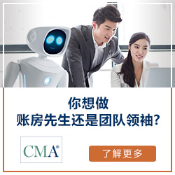 你想做账房还是团队领袖? 你想做账房还是团队领袖?