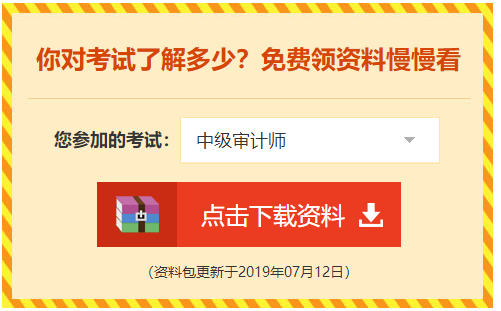 2020审计师备考资料