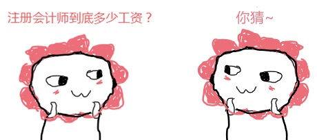 分享｜注册会计师工资是多少？