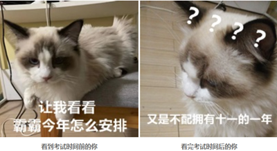 2020年注会考试时间公布~果然专业选的好 年年十一似高考