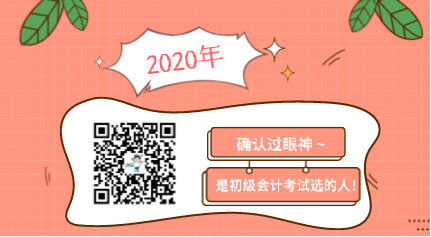 确认过眼神 是2020年初级会计考试选的人! 确认过眼神 是2020年初级会计考试选的人!