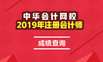 安徽2019年注册会计师成绩查询