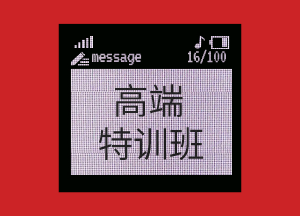 正保会计网校USCPA高端特训班可享受哪些服务？