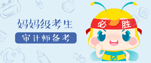 妈妈级考备考审计师