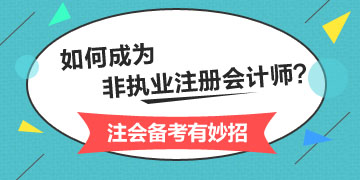 非执业注册会计师