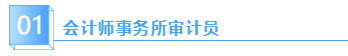 会计师事务所审计员
