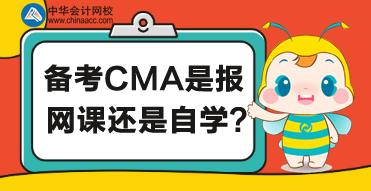CMA备考该如何学习呢?报网课or自学呢? CMA备考该如何学习呢?报网课or自学呢?