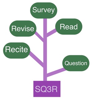 国际公认最有效的这4种学习方法也可以适用注会