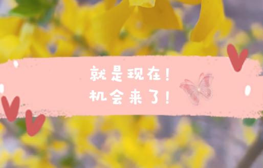 机会来啦 机会来啦