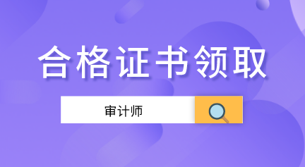 2019年审计师合格证书办理信息汇总