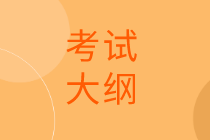 审计师考试大纲信息 审计师考试大纲信息