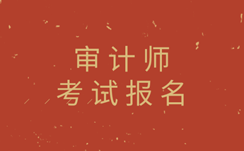 2020审计师考试报名 2020审计师考试报名