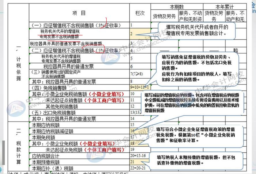小规模纳税人填写申报表需要注意哪些关键点？