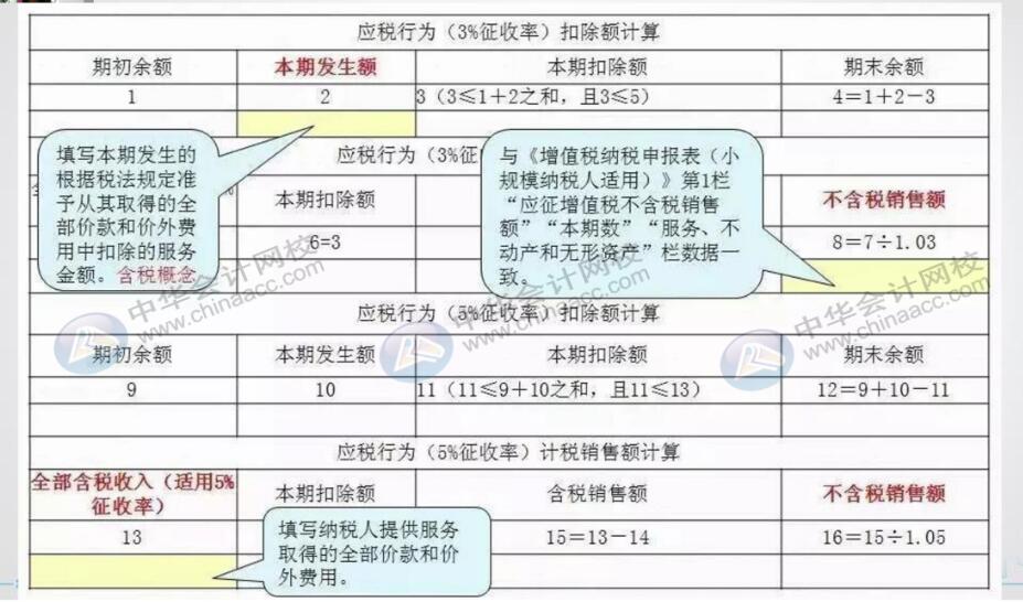 小规模纳税人填写申报表需要注意哪些关键点？