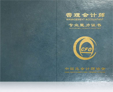 财务人翻身就靠它了!