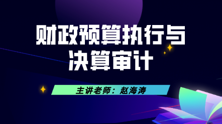 财政预算执行与决算审计