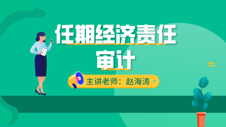 任期经济责任审计