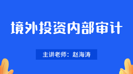 442境外投资内部审计 442境外投资内部审计