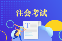 注册会计师考试wps图片