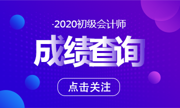深圳2020初级会计考试成绩查询入口公布了吗？
