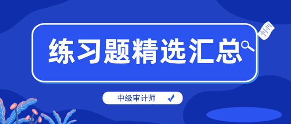 中级审计师练习题精选汇总