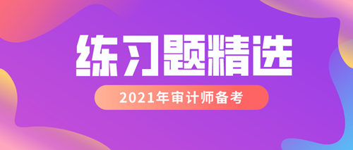 中级审计师《审计理论与实务》练习题精选 汇总