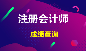 了解2020海南注册会计师成绩查询相关信息吗？
