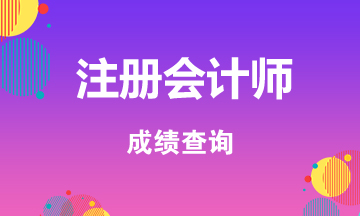 2020内蒙古注册会计师成绩查询时间出了吗？