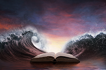 企业发生的资产损失何时申报扣除?