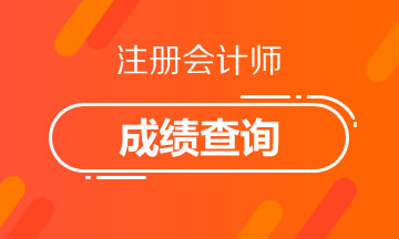 2020海南注册会计师成绩查询时间出了！