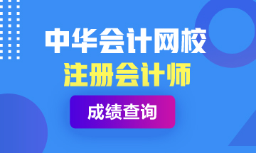 海南2020年注册会计师成绩查询时间确定了！