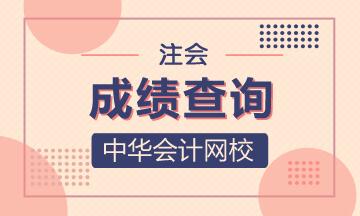 海南海口2020年注册会计师成绩查询相关信息可得了解！