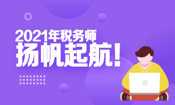 2021税务师(360-216) 2021税务师(360-216)