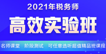 税务师高效实验班课程