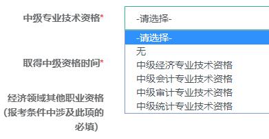 中级专业技术资格 中级专业技术资格