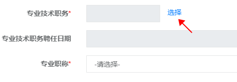 高级经济师专业技术职务怎么填写? 高级经济师专业技术职务怎么填写?