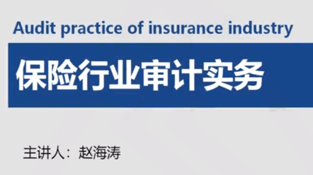 保险行业审计实务