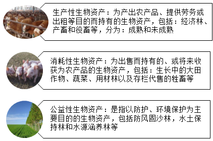 农业企业特有会计科目介绍 农业企业特有会计科目介绍