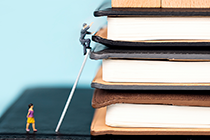 如何配合会计师事务所会计师进行农业外部审计？