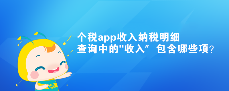 个税app收入纳税明细查询中的 个税app收入纳税明细查询中的