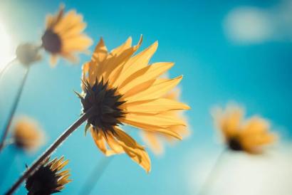 为什么说“太闲”和“太忙”,都会毁掉一个人? 为什么说“太闲”和“太忙”,都会毁掉一个人?