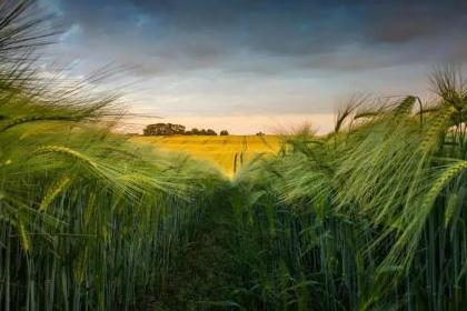 为什么说“太闲”和“太忙”,都会毁掉一个人? 为什么说“太闲”和“太忙”,都会毁掉一个人?