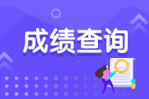 税务师考试成绩查询