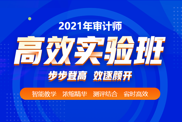 审计师高效实验班