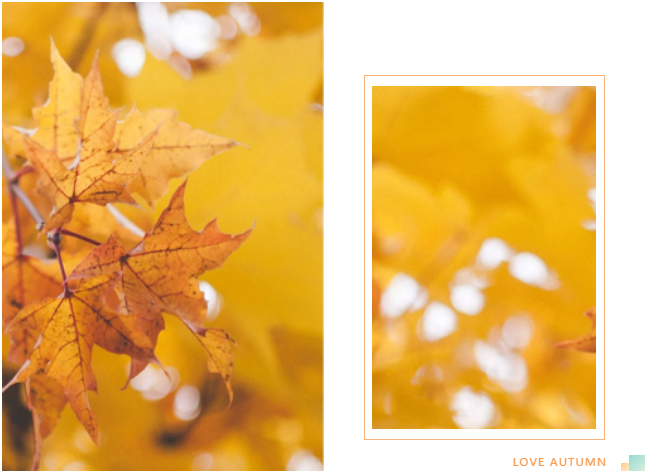 临近考试 银行从业怎么高效复习? 临近考试 银行从业怎么高效复习?