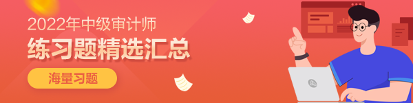 中级审计师《审计理论与实务》练习题精选汇总