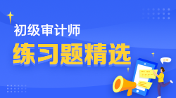 初级审计师练习题精选 初级审计师练习题精选