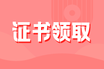 税务师证书领取